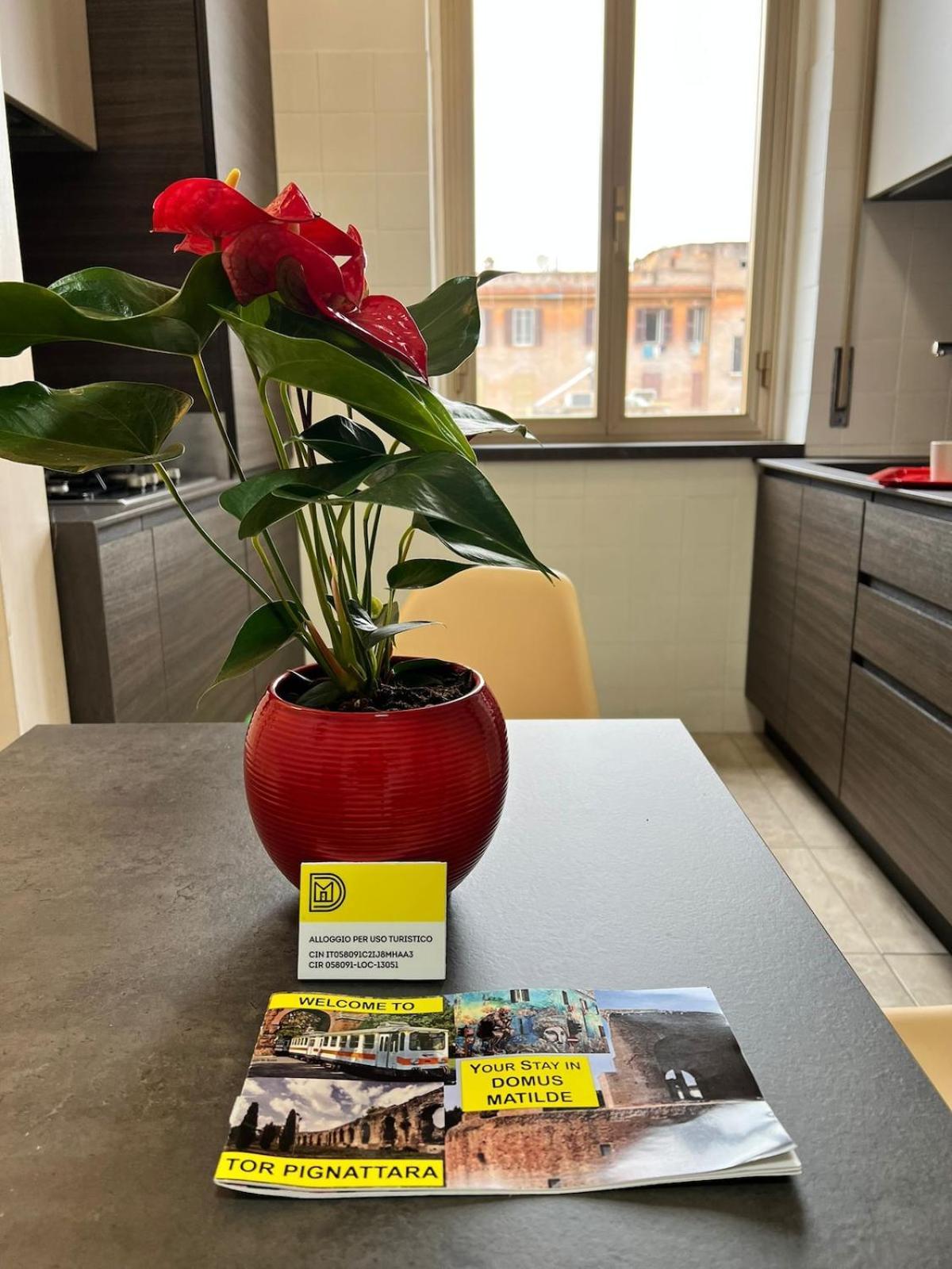 Domus Matilde Apartment *
